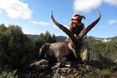 spain hunting ibex