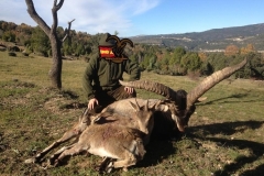 ibex hunt spain