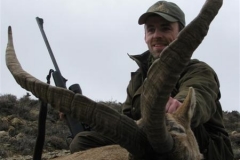 ibex hunt spain