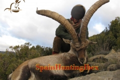 ibex hunt spain