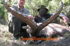 ibex hunt spain