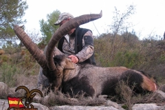 spain hunting ibex