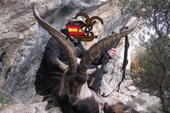 beceite ibex
