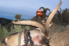 hunting in spain