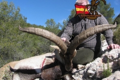 ibex hunt spain