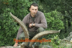 spain hunting ibex