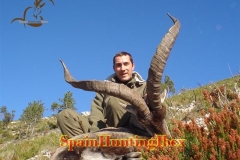 spain hunting ibex