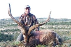 beceite-ibex-16