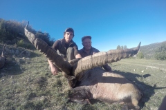 ibex hunt spain