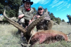 beceite-ibex-jim-shockey