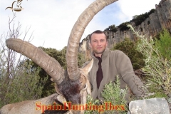 spain hunting ibex