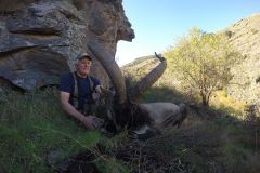 southeastern ibex