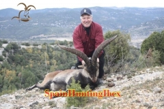 spain hunting ibex