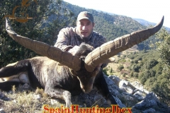 spain hunting ibex