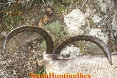 hunting in spain