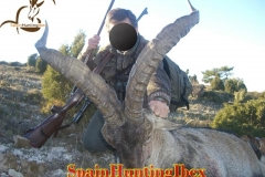 ibex hunt spain