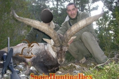 hunting in spain